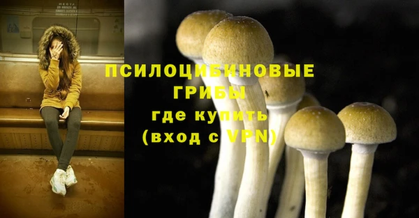 дурь Аркадак