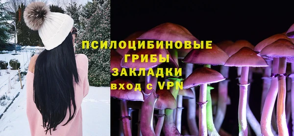 дурь Аркадак